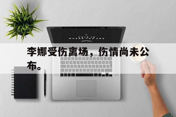 c7官方网址-李娜受伤离场，伤情尚未公布。