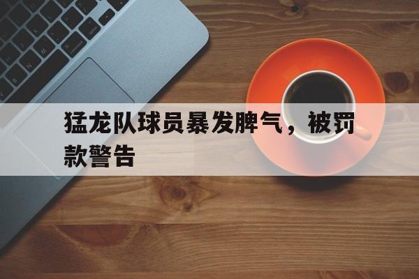 c7娱乐网页版-猛龙队球员暴发脾气，被罚款警告