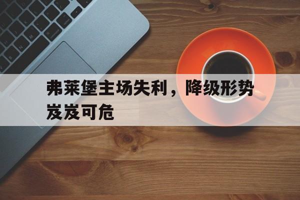 c7官方网址-弗莱堡主场失利，降级形势岌岌可危